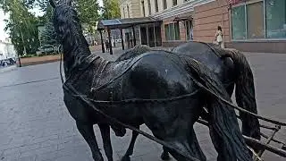 Упряжка коней Курск ТЦ Манеж