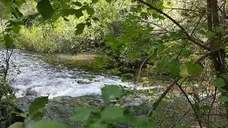 SONIDO de AGUA💧💦Fluyendo Corriendo y Cayendo para Relajarse Estudiar Trabajar  Sonido de  Naturaleza