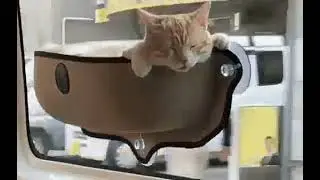 comfortable fit