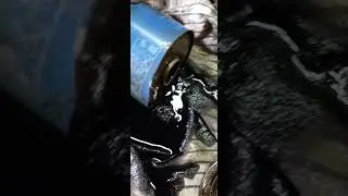 магниты на фильтр - оно надо?