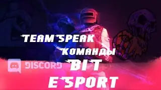 💥ТИМСПИК BIT ESPORT💥 | КАК МЫ ИГРАЕМ ТУРНИР | STANDOFF 2
