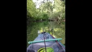 Kayak adventure : Conquest of Old Mill