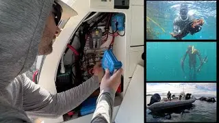 Vanlife Upgrades & Spearfishing In British Columbia - Catch & Cook
