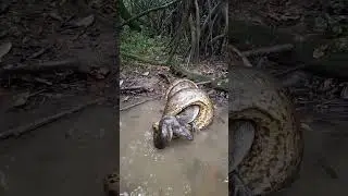 nag vasuki ki kahani