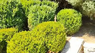 I giardini di Zoe. Gradinile lui Zoe.