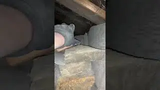 Strange things are buried in the walls...