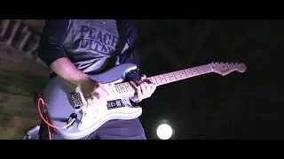 Fender Player Series at Peach Guitars