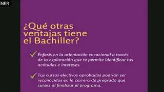 De qué tratan el programa de Bachiller | PACE UC Temuco