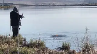 #ХищникКузбасса