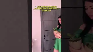Подпишись , каждый день новый видос 😊 #рек #семья #рекомендации #прикол #юмор