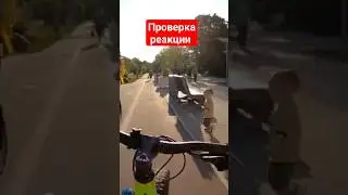 тест на реакцию👍🚴