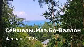 Путешествие на остров Маэ. Сейшелы. 2023 г. Часть 5