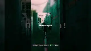Лёша Стелит - Криминалист