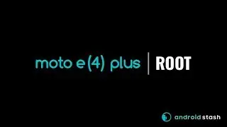 Root | Nicklaus