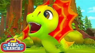 ¡El Dinosaurio Aterrador! | Dino Ranch Español