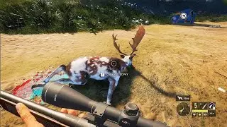 Diamond and Rare montage video Ep 2 of Great one Fallow grind