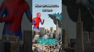 Моя активность днем и ночью 