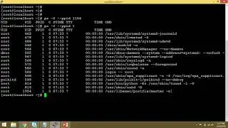 Simple process management in Linux