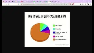 Spreadsheet 2 (INF2080) 4.1.1: various chart types
