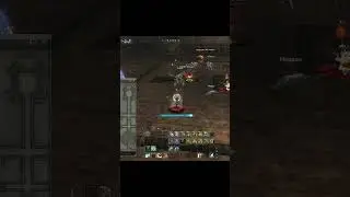 СТАРТ НОВЫХ СЕРВЕРОВ Lineage 2 Legacy 