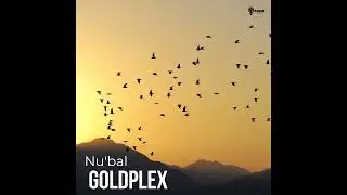 Nu'bal - Goldplex
