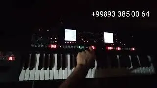 ARAMAM Ibrahim Tatlises Roland E-A7