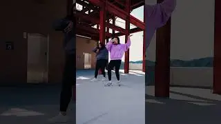 WE MISS 90’S BOLLYWOOD 😭 Filmed a quick tutorial for this routine over at bfunkdance.com ❤️