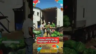 Сезон арбуза подходит к концу