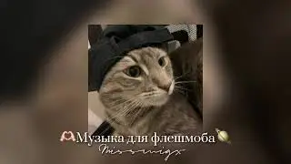 🫶🏻Музыка для флешмоба/Все песни из тик тока 2024💗