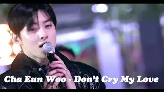 CHA EUNWOO - Don't Cry My Love - Under the Oak Tree OST Part 1 [rus sub/рус саб]