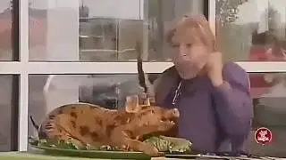 Прикол про свинью.