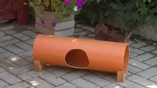 2017 08 20 2710 д кр от Коко и Жеки