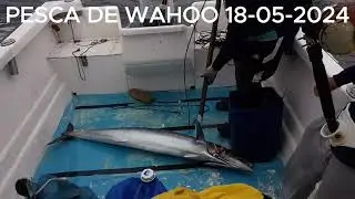 PESCA DE WAHOO CON MARIA 18-05-2024