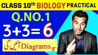 10th bio practical guess paper 2024|10th biology practical 2024| important practicals bio 10th class