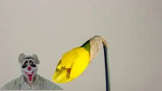 анекдот про улыбку