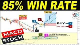 🔴 [1000 Pips/Day Trading] Best MACD & STOCHASTIC Strategy (With 1:5 Risk Reward Ratio)
