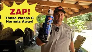 Get Rid of Pesky Wasps and Hornets with Abom79
