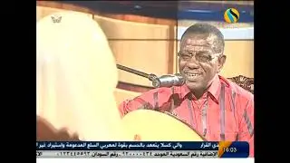 الهادي حامد - كراسي القلب