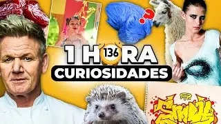 1 HORA De DATOS CURIOSOS y CURIOSIDADES ASOMBROSAS Del Mundo😲