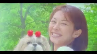 기획이 산으로 가는 이유