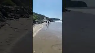 Пляж в Дана Пойнт. Калифорния ! 🇺🇸