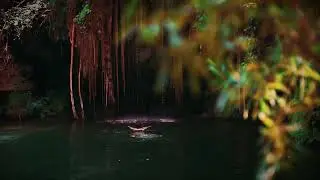 Rock Pool, Into The Nature - Cinematic Video. #cinematography #naturelover