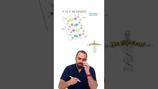2022 AYT BİYOLOJİ ANTİPARALEL SORUSU BARIŞ HOCA DOKTOR BİYOLOJİ