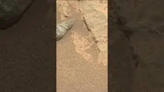 Mars - Perseverance Sol 249 - Right Mastcam-Z Camera #shorts #mars