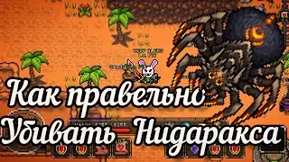 Обучалка По Нидараксу В CoA