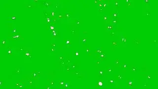 Falling cherry blossom petals || Green screen transition flowers|CHERRY BLOSSOMS GREEN SCREEN EFFECT