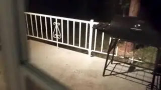Taking a look at the new house