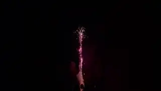 23 ноября 2023 г.