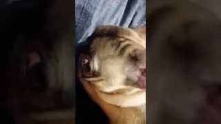 КАК ДУМАЕТЕ ЧТО ИЩЕТ?