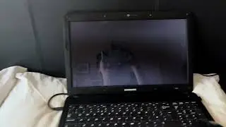 Phoebe chupi shoots you has BSOD